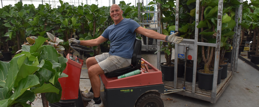 Visiting our houseplant growers in Westland, Netherlands