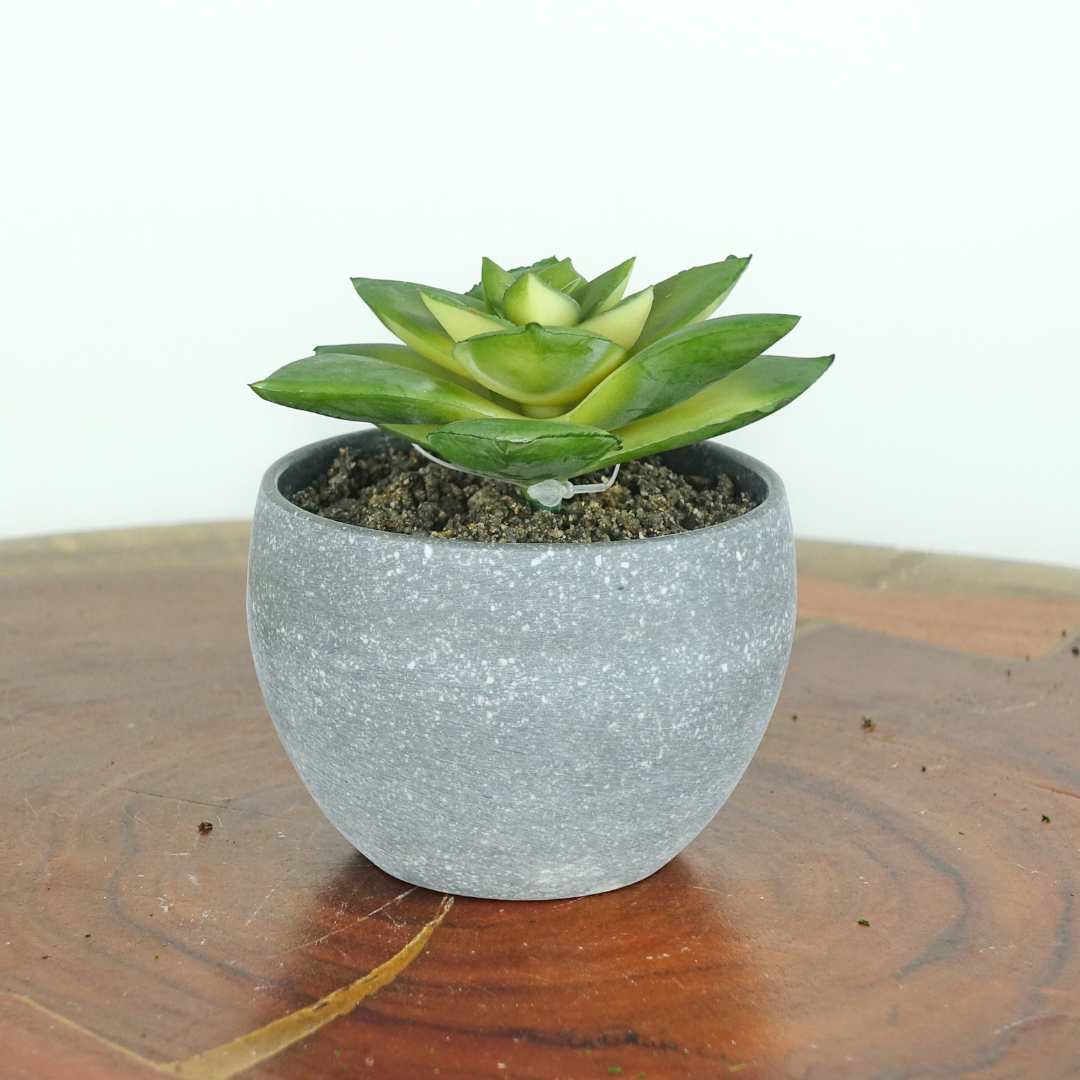 Artificial Mini Echeveria