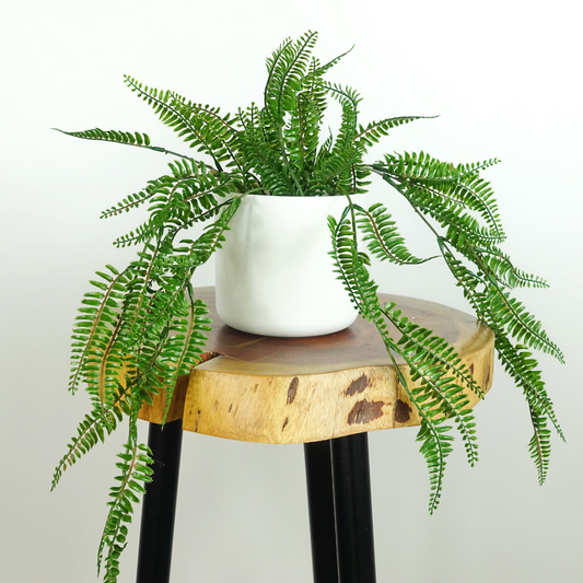 Artificial Trailing Fern