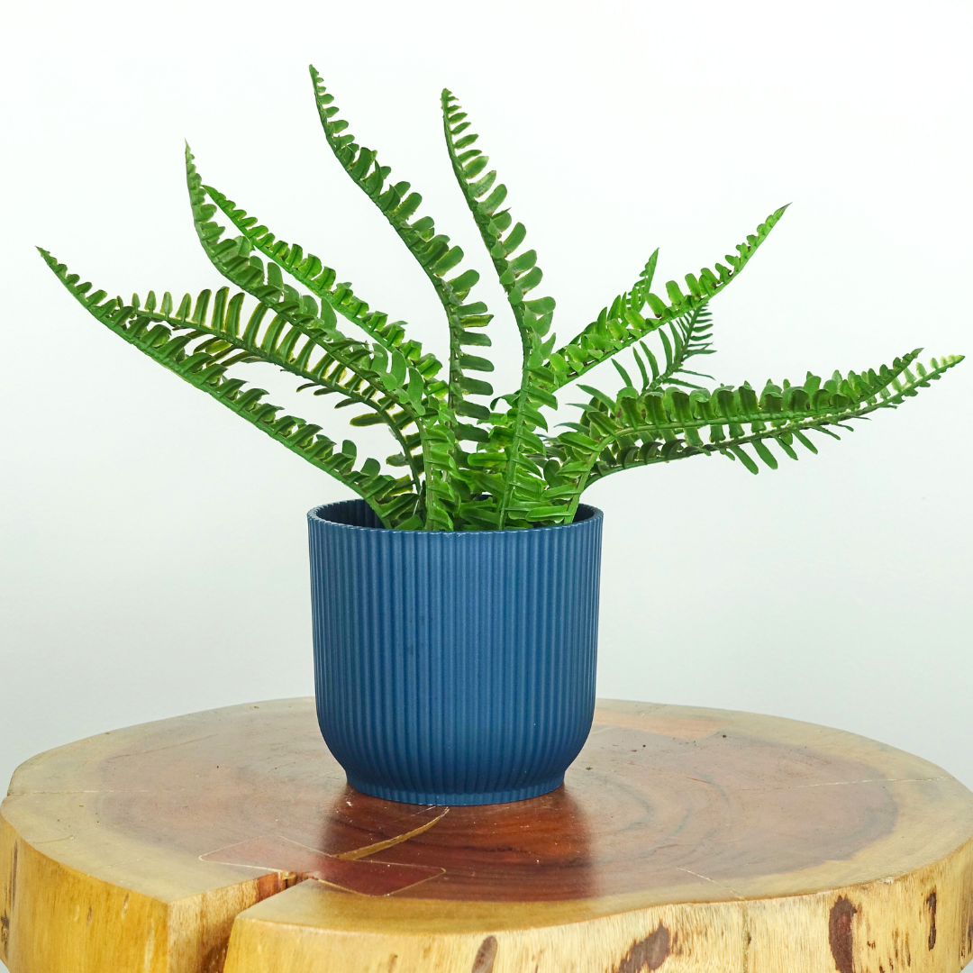 Artificial Boston Fern