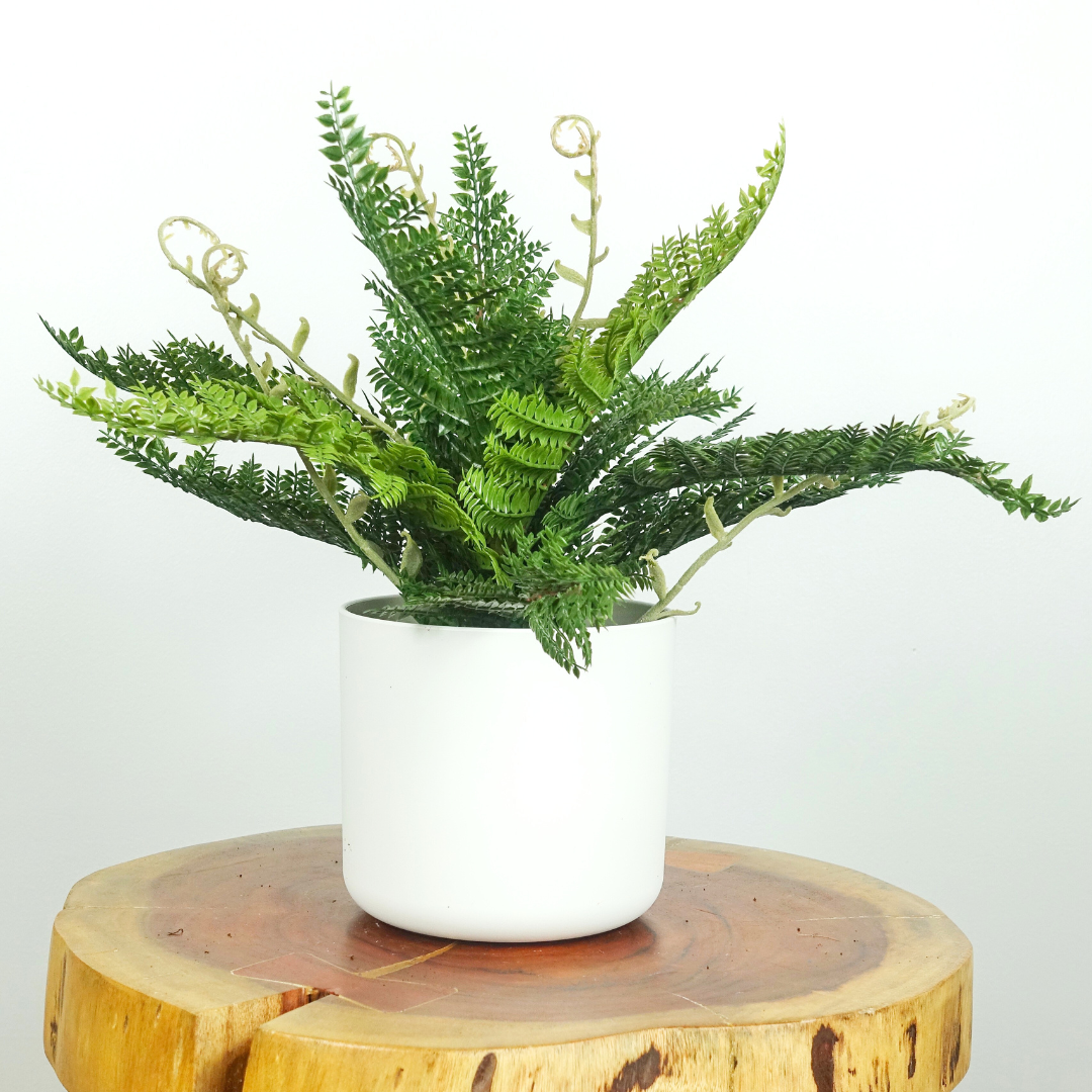 Artificial Dryopteris Affinis Fern