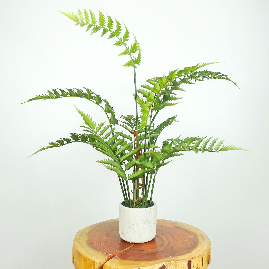 Artificial Fern