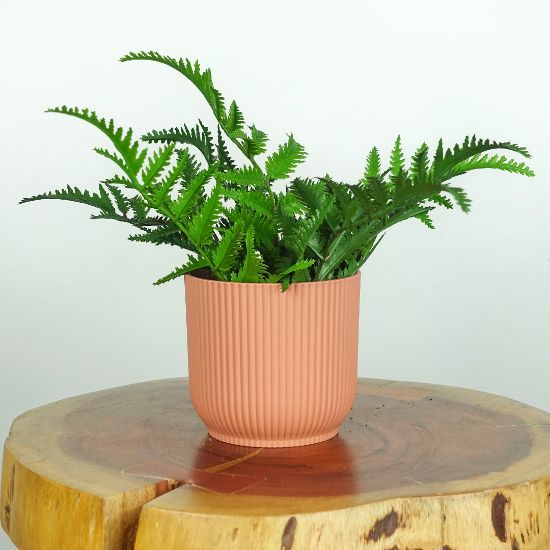 Artificial Leather Fern