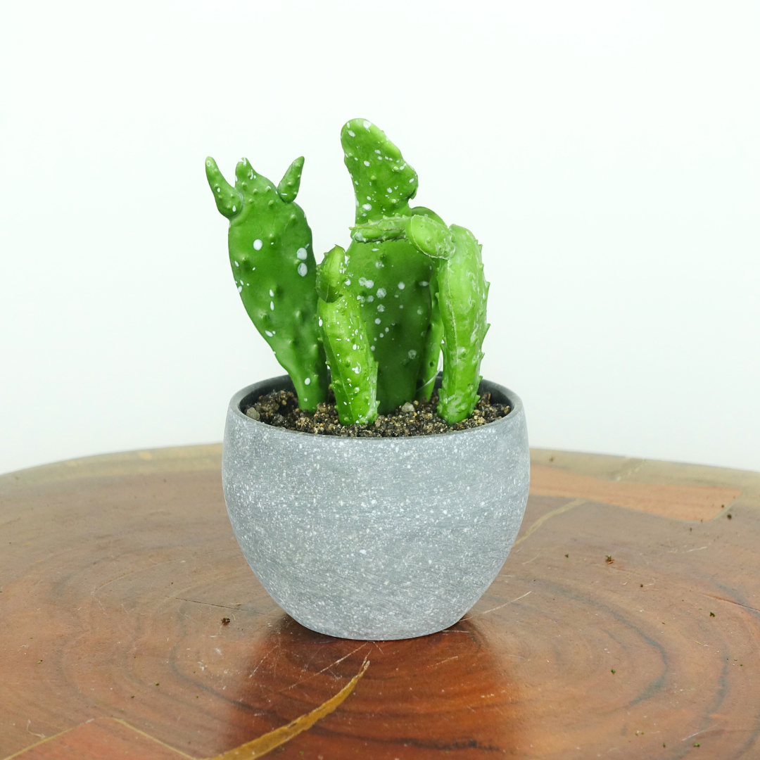 Artificial Mini Cacti