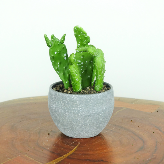 Artificial Mini Cacti