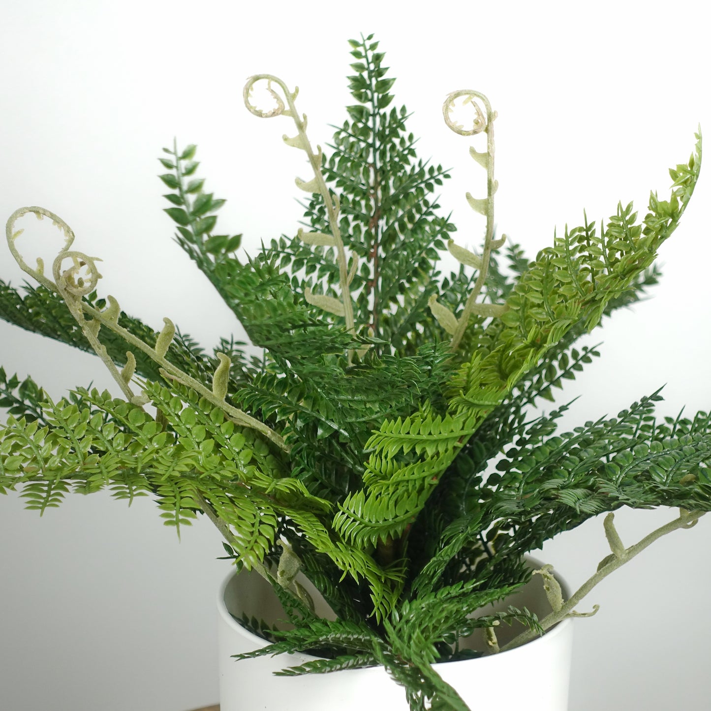 Artificial Dryopteris Affinis Fern