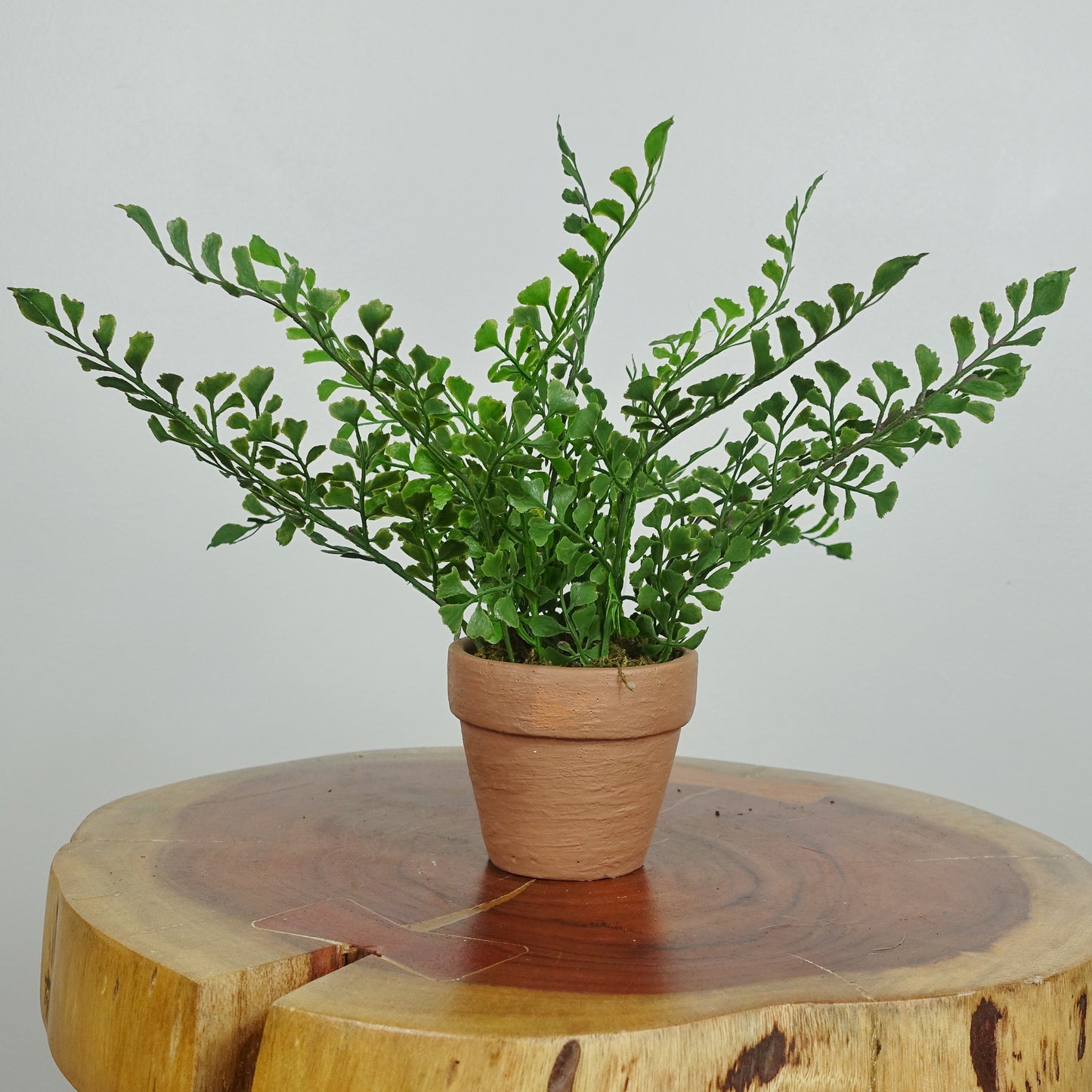 Artificial Maidenhair Fern