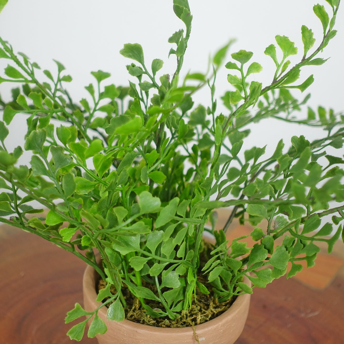 Artificial Maidenhair Fern