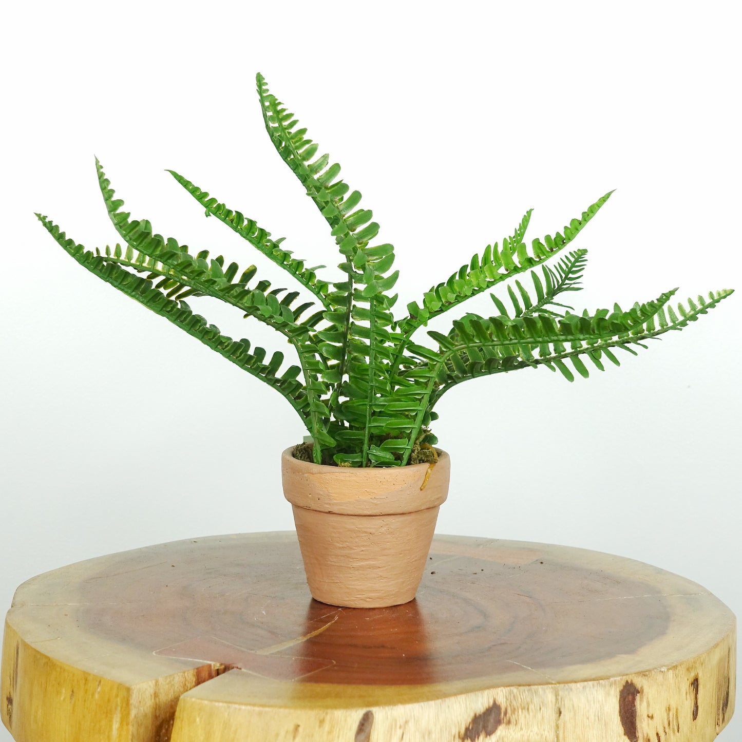 Artificial Boston Fern