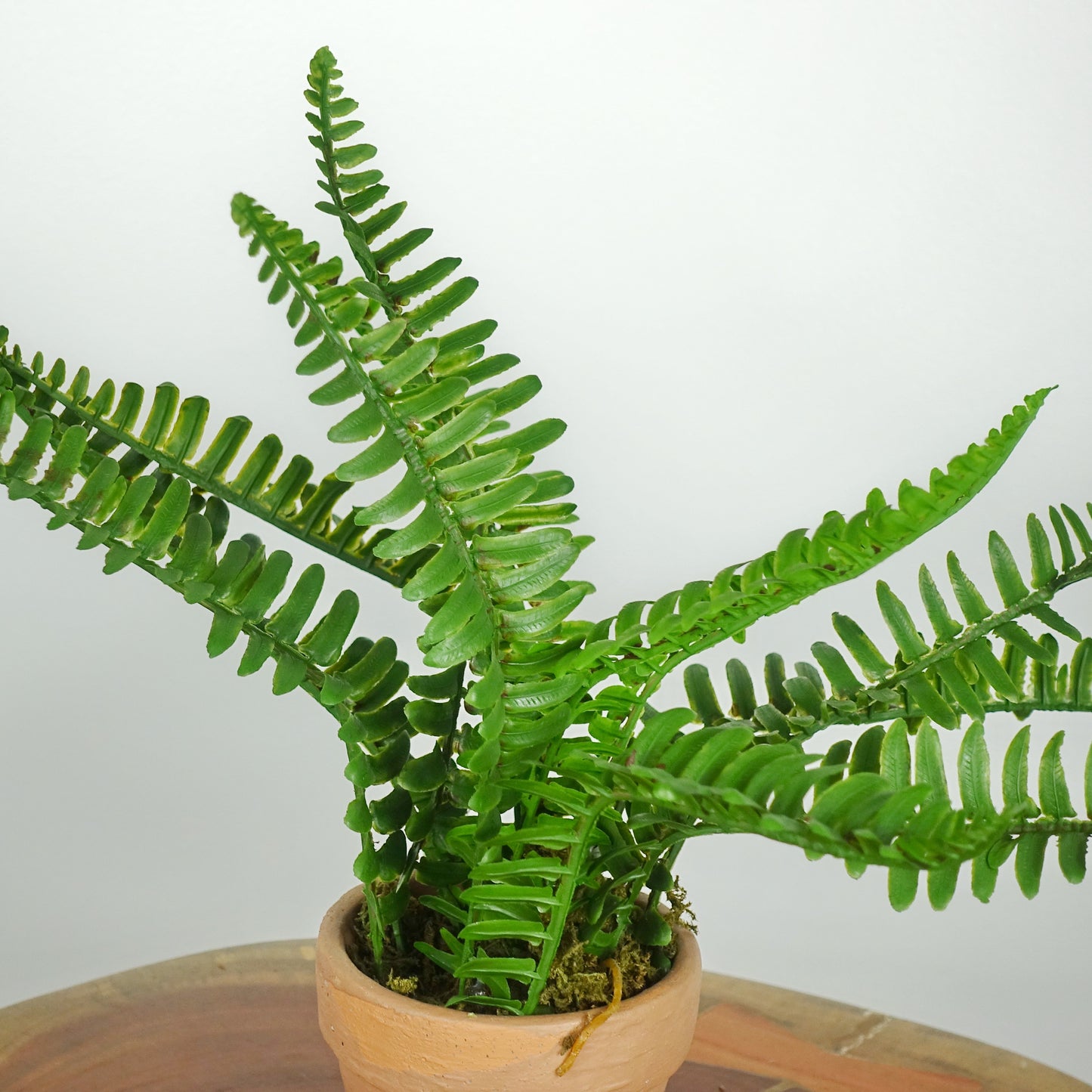 Artificial Boston Fern