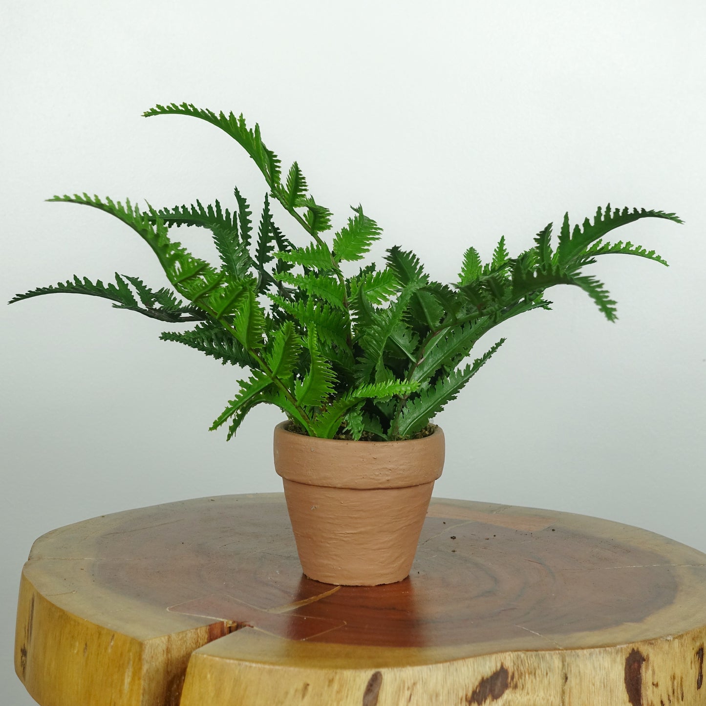 Artificial Leather Fern