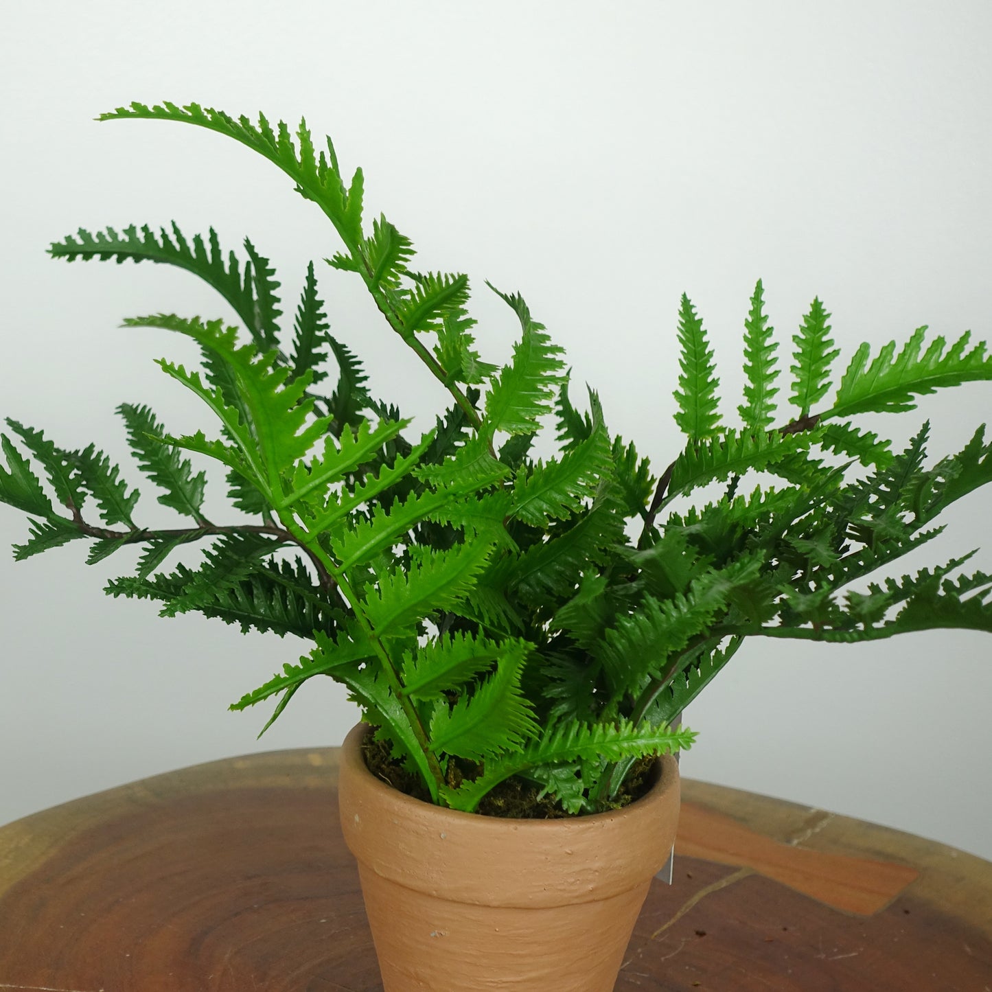 Artificial Leather Fern