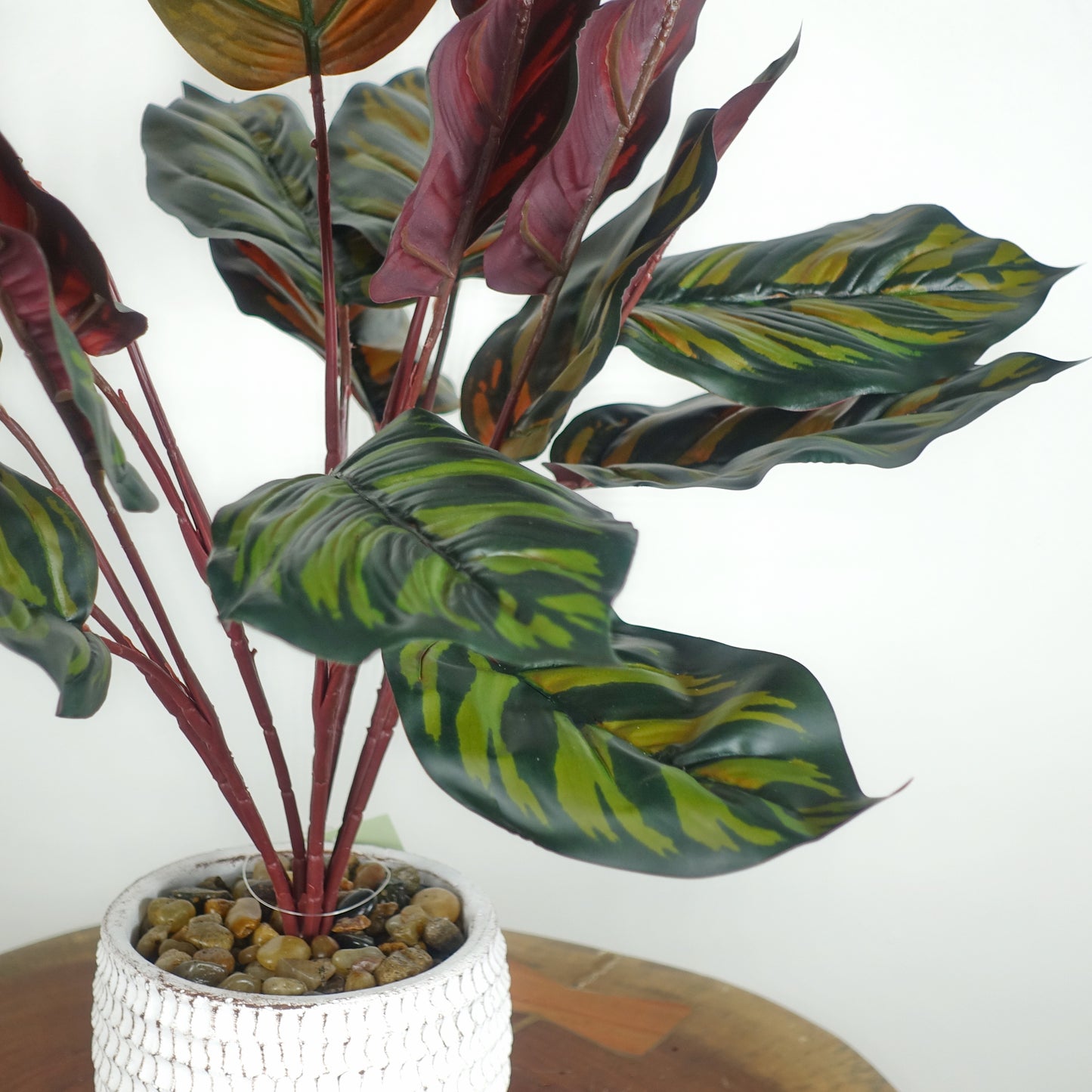 Artificial Calathea Peacock