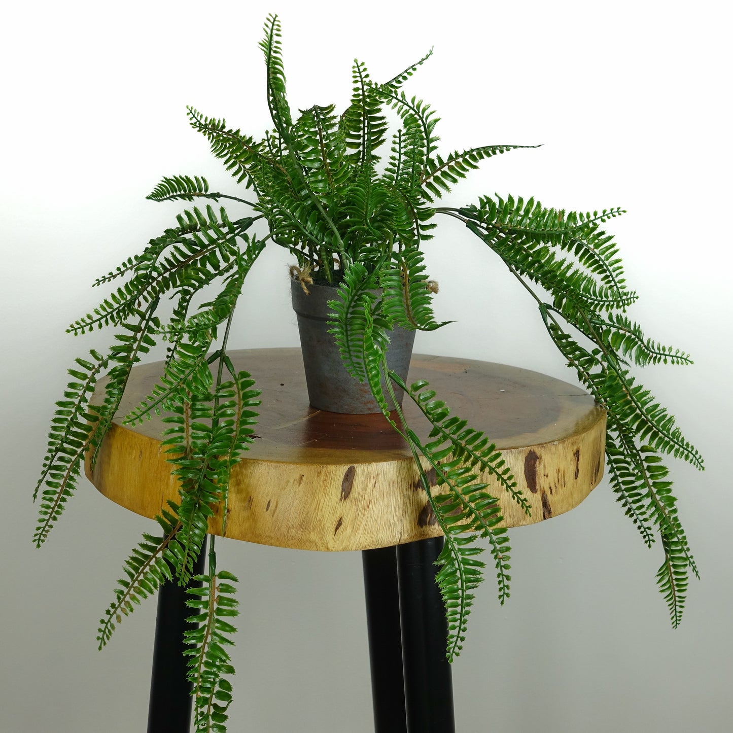 Artificial Trailing Fern