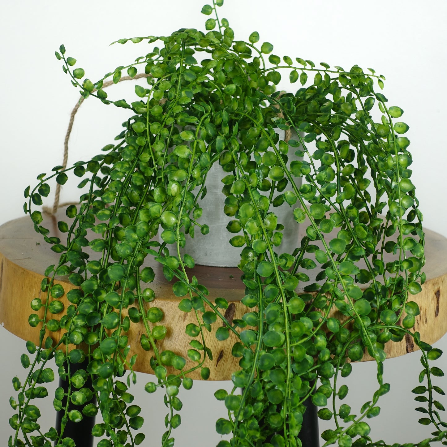 Artificial Potted String of Pearls