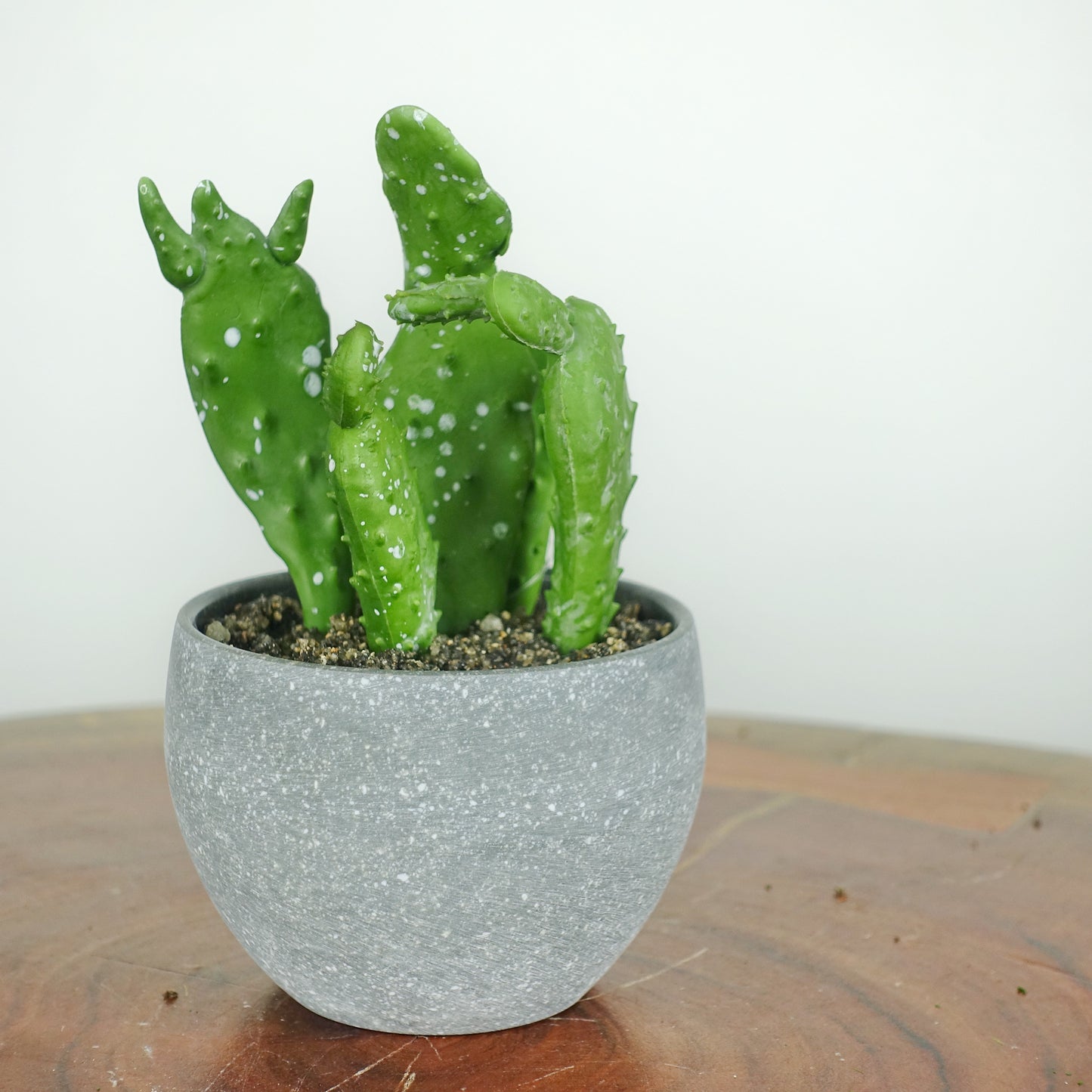 Artificial Mini Cacti