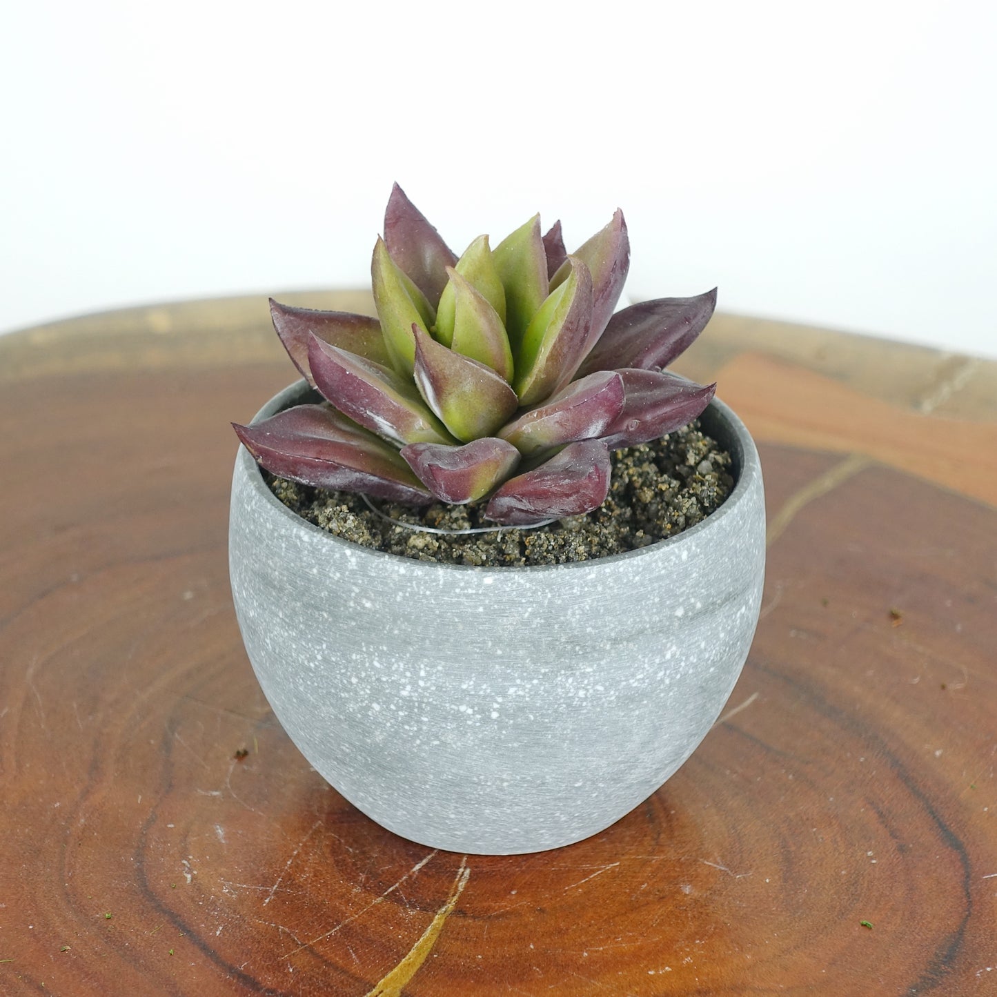 Artificial Mini Echeveria Red