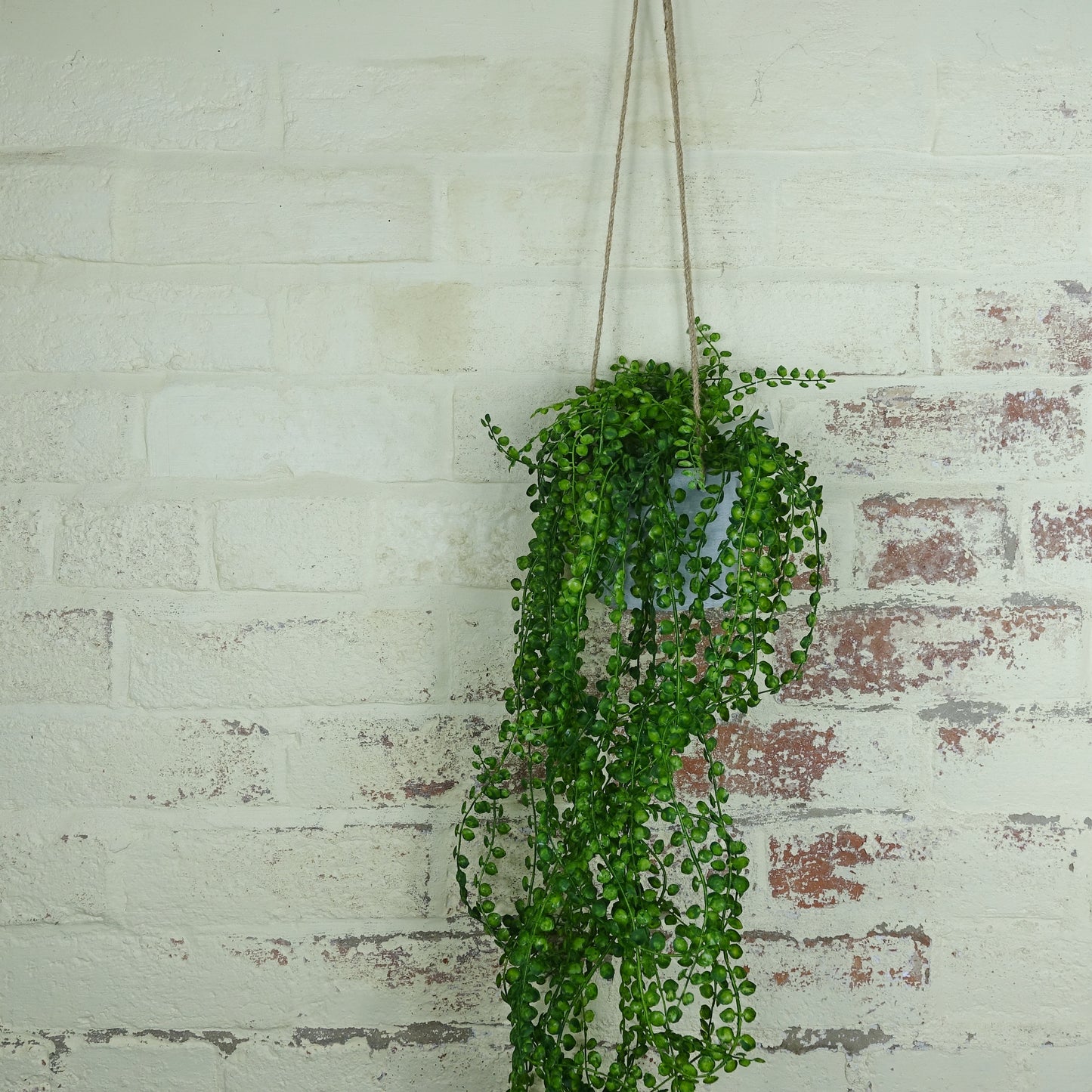 Artificial Potted String of Pearls