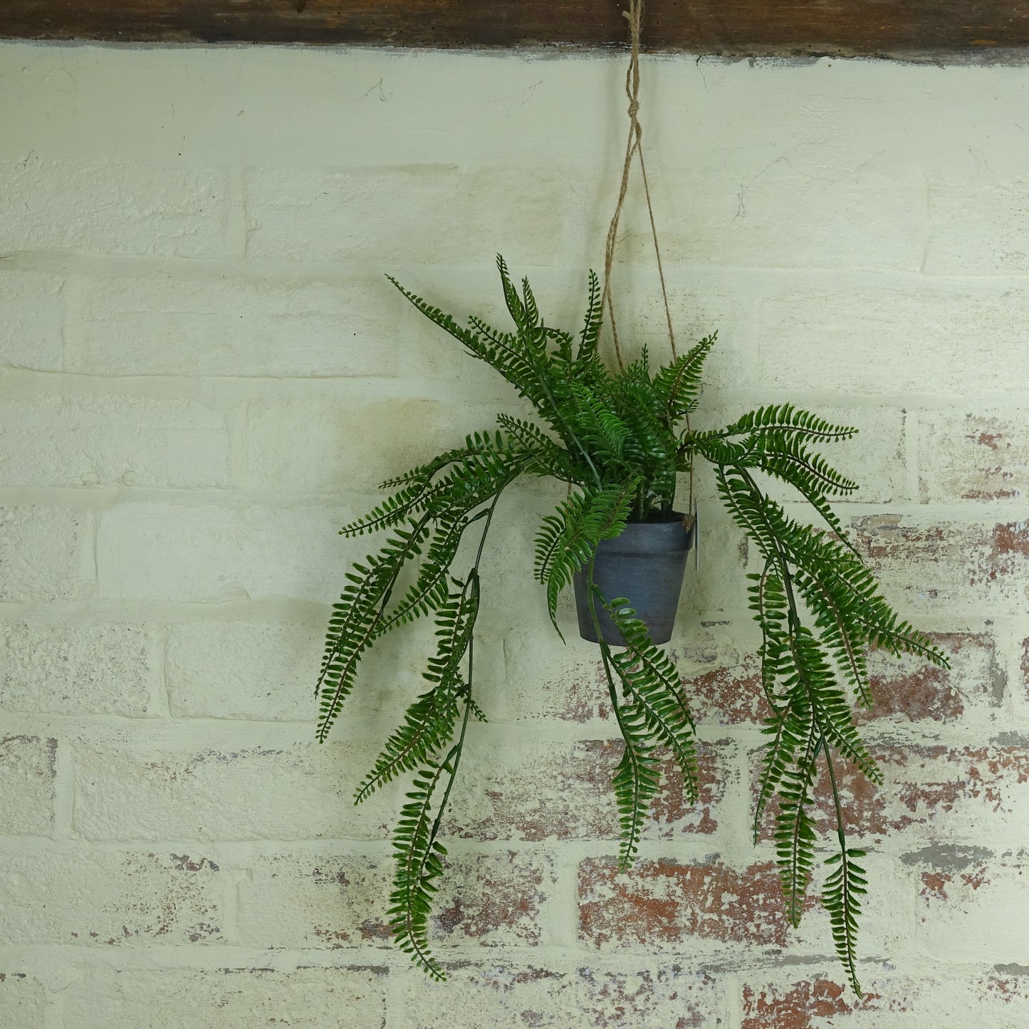 Artificial Trailing Fern