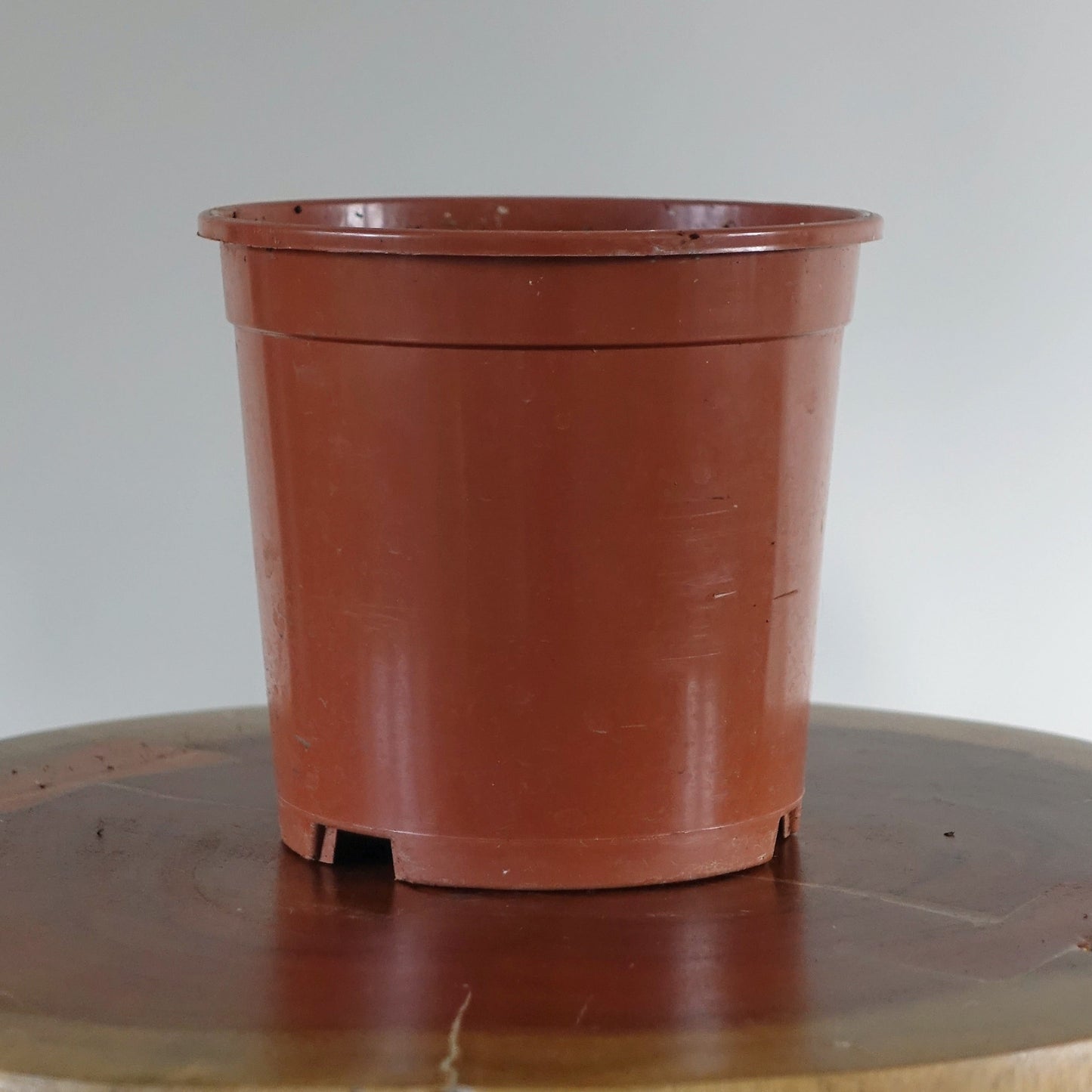 Included Nursery Pot