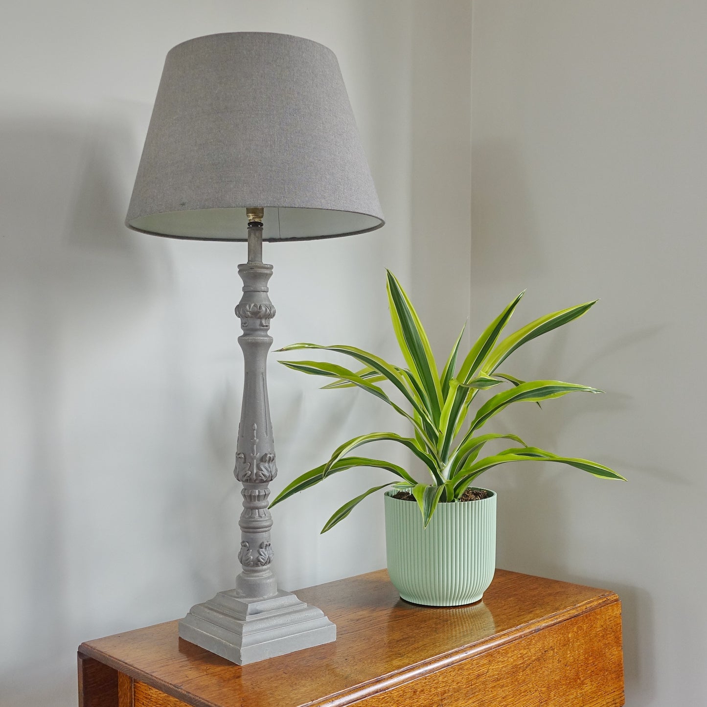 Dracaena Lemon Lime