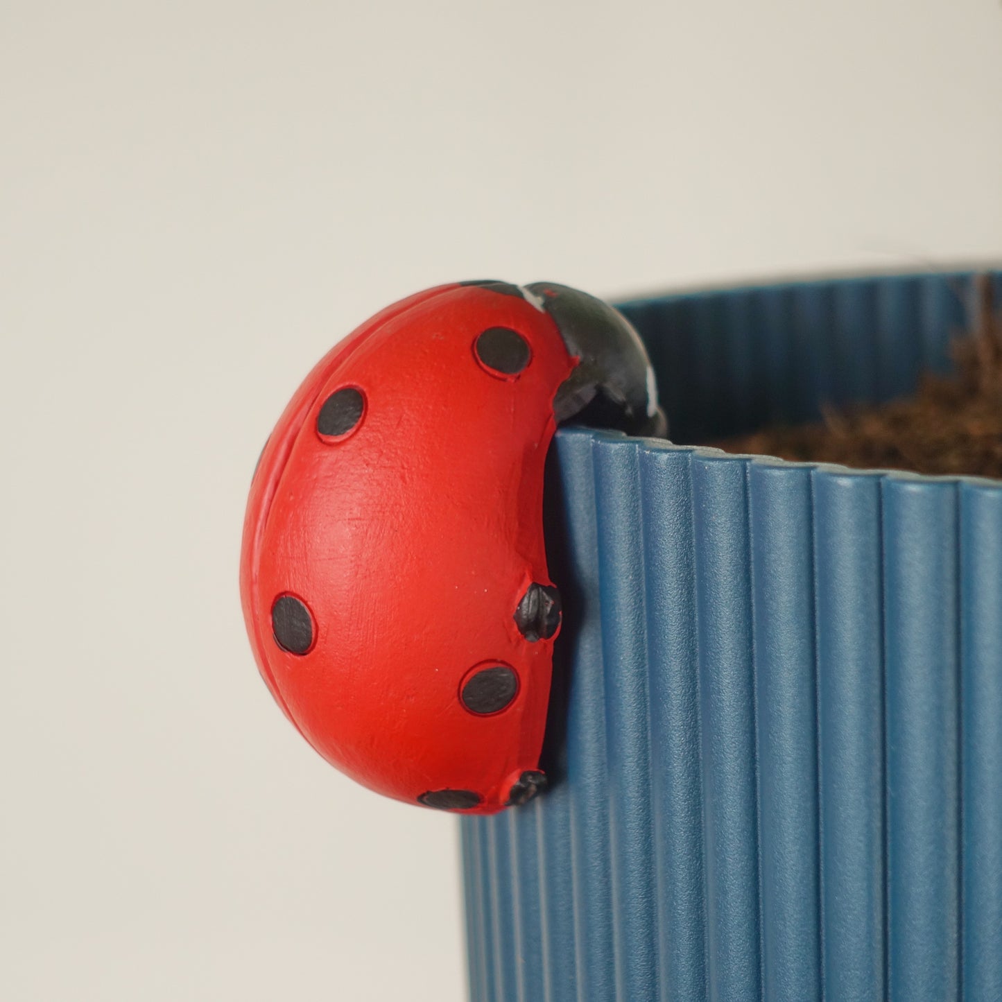 Lucy Ladybug