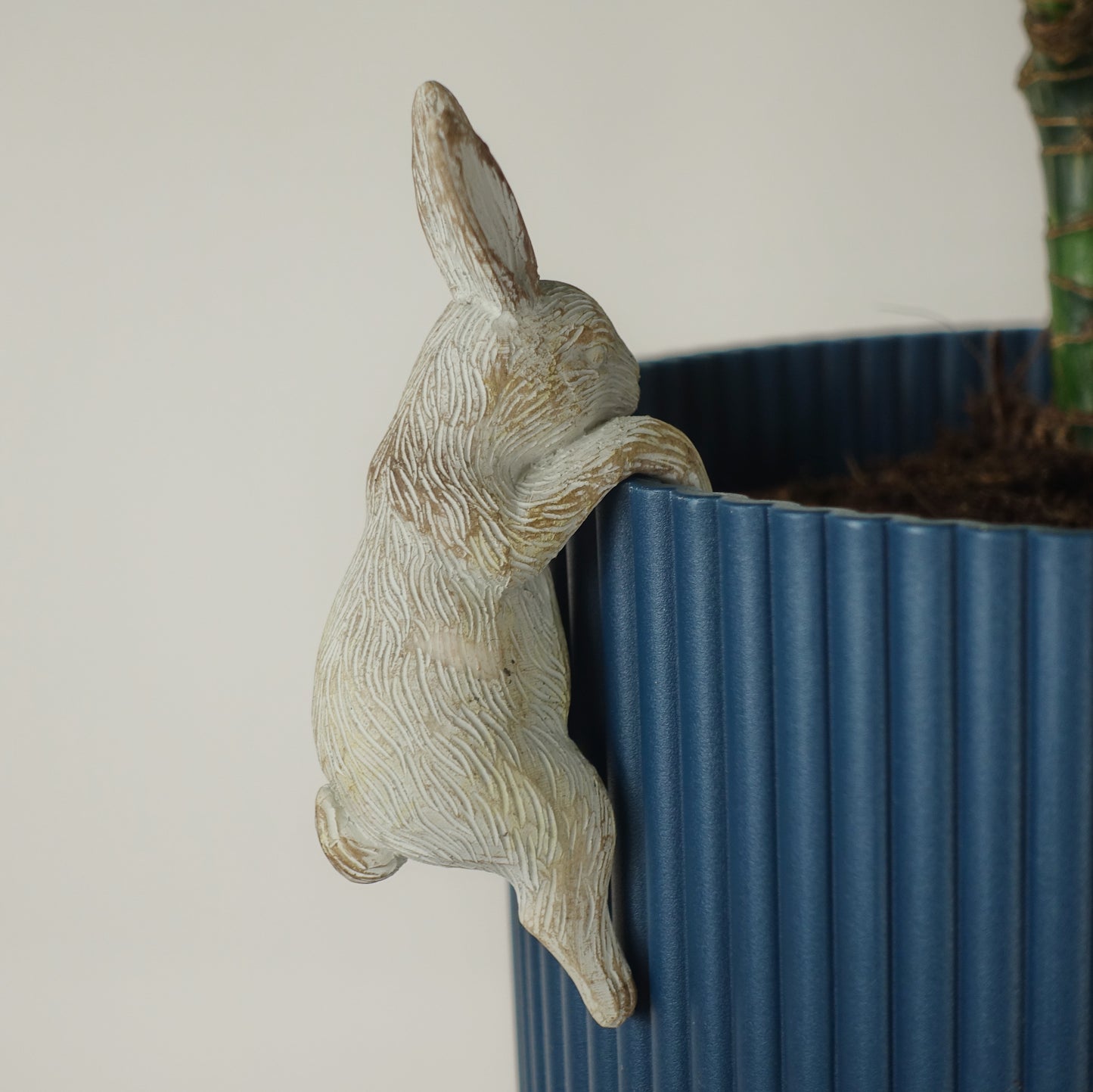 Peter Rabbit