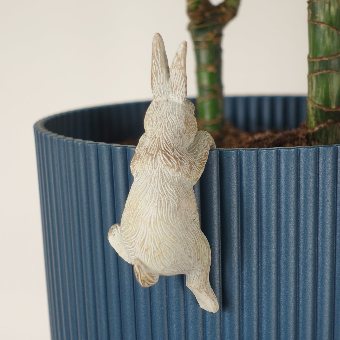 Peter Rabbit