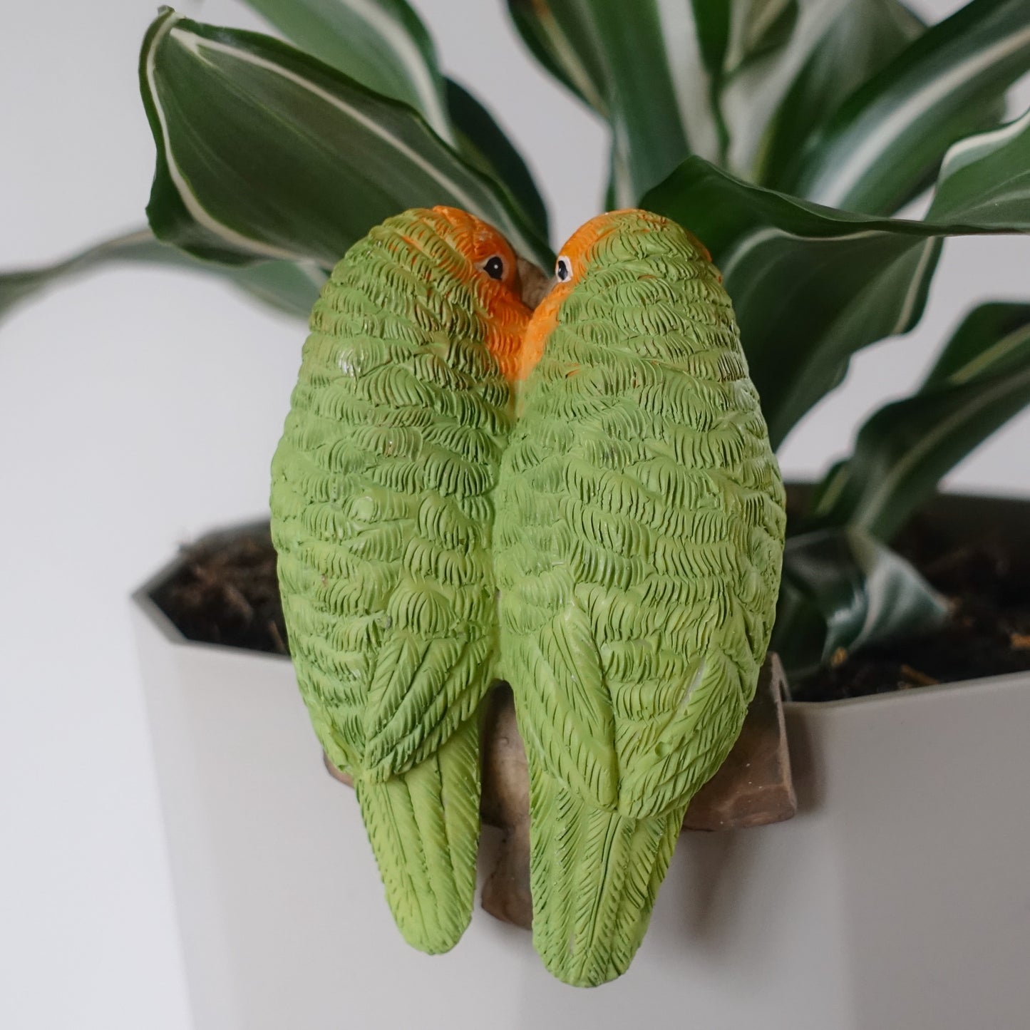 Perry & Penny Parrots